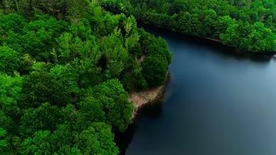 航拍绿色森林丛林河流视频的预览图